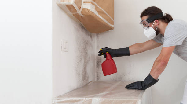 Professional Bathroom Mold Removal technician working in Honey Grove, TX