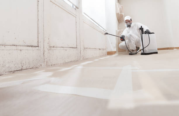 24/7 Emergency Bathroom Mold Removal experts in Honey Grove, TX