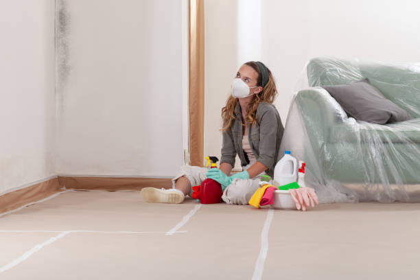 Reliable Bathroom Mold Removal contractor in Honey Grove, TX by 24 Hour Mold Removal